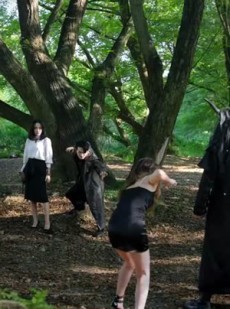 短剧《灵兽录之九尾狐王》85集短剧无广告纯净版观看