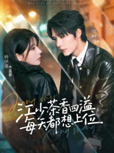 短剧《江少茶香四溢，每天都想上位》74集短剧高清在线免费观看