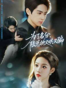 短剧《为了名分，陆总他又哄又骗》80集短剧高清画质免费看