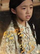 短剧《昭昭岁岁》30集短剧免费观看全集无删减