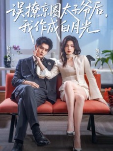 短剧《误撩京圈太子爷后，我作成白月光》81集短剧超清画质免费观影