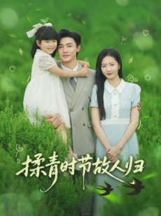 短剧《揉青时节故人归》60集短剧全集高清版在线观看