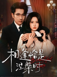 短剧《相逢恰是涅槃时》63集短剧超清画质一键观看