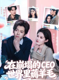短剧《在崩塌的CEO世界里薅羊毛》70集短剧高清无广告在线观看