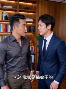 短剧《重生蚊皇步步为凰》65集短剧全集高清在线观看