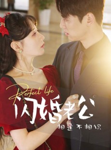 短剧《闪婚老公相逢不相识》90集短剧2K画质沉浸式体验