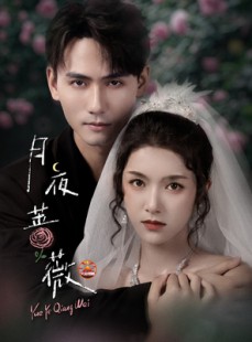 短剧《月夜蔷薇》72集短剧无删减版在线免费看