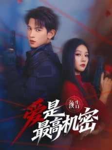 短剧《爱是最高机密》25集短剧在线畅享全集无广告
