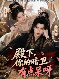 短剧《殿下，你的暗卫有点呆呀》110集短剧高清在线观看无广告
