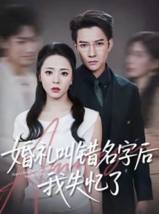 短剧《婚礼叫错名字后我失忆了》100集短剧超清画质在线追全集