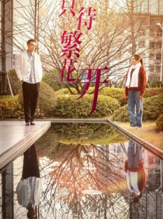 短剧《只待繁花开》35集短剧蓝光版全集在线畅看