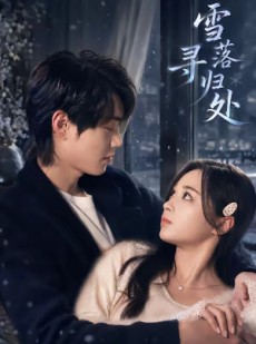短剧《雪落寻归处》60集短剧高清在线流畅观看