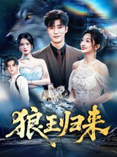 短剧《狼王归来》51集短剧免费看全集不卡顿