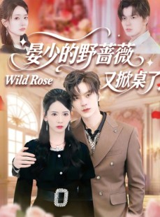 短剧《晏少的野蔷薇又掀桌了》120集短剧全集高清免费观赏