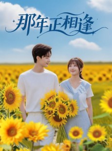 短剧《那年正相逢》60集短剧全集一键解锁观看