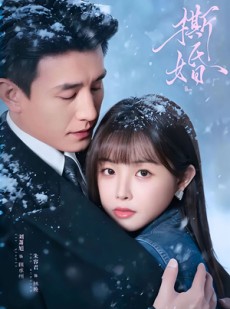 短剧《撕婚》23集短剧全集资源免费分享