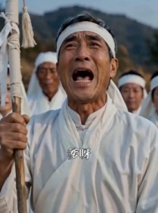 短剧《建新房邻居不签字，我反手修猪圈》61集短剧全集免费在线追