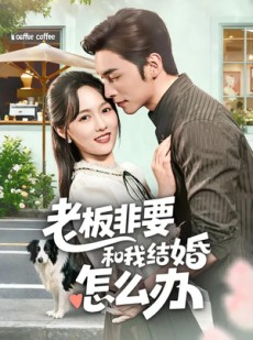 短剧《老板非要和我结婚怎么办》50集短剧1080P在线免费看
