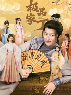 短剧《极品家丁》96集短剧高清无删减在线观看