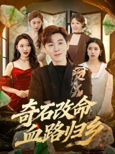 短剧《奇石改命血路归乡》81集短剧完整版免费畅享观看