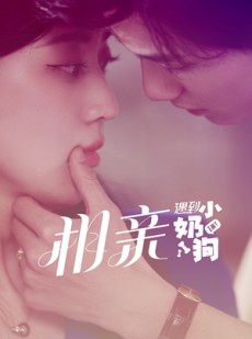 短剧《相亲遇到小奶狗》80集短剧全集资源在线观看无删减