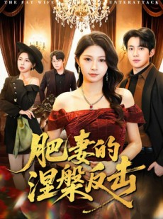 短剧《肥妻的涅槃反击》66集短剧超清画质在线看全集