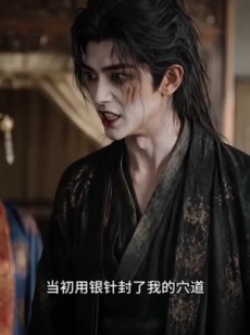 短剧《嫡妻动手不动口》65集短剧免费观看完整版