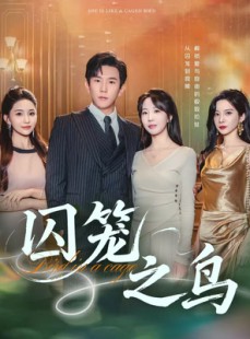 短剧《囚笼之鸟》52集短剧在线观看完整不卡顿