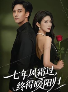 短剧《七年风霜过，终得暖阳归》60集短剧在线解锁全集畅看