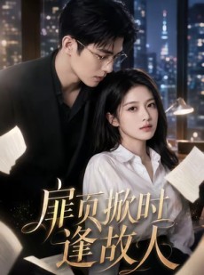 短剧《扉页掀时逢故人》80集短剧在线免费看全剧情