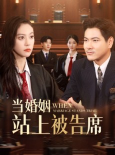 短剧《当婚姻站上被告席》30集短剧蓝光画质无广告观看