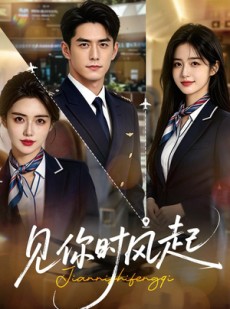 短剧《见你时风起》36集短剧完整版免费畅享观看
