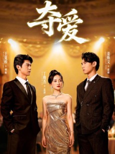 短剧《夺爱》55集短剧完整版在线流畅观看