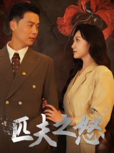 短剧《匹夫之怒》48集短剧无广告在线观看体验