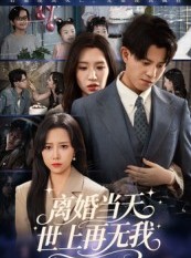 短剧《离婚当天世上再无我》60集短剧无删减免费看