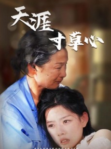 短剧《天涯寸草心》76集短剧极速播放流畅不卡顿