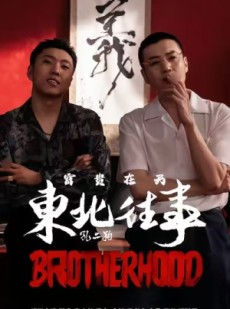 短剧《东北往事之富贵在天》64集短剧1080P画质网盘轻松看
