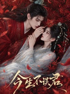 短剧《今生不误君》106集短剧全集免费看完整版