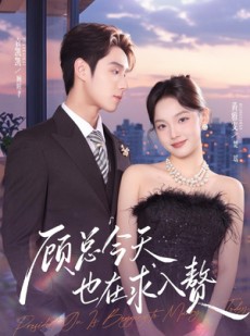 短剧《顾总今天也在求入赘》80集短剧全集免费观看无广告
