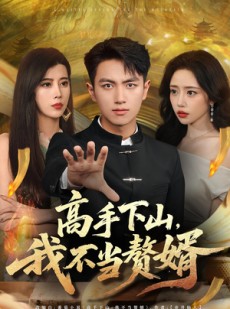 短剧《高手下山我不当赘婿》66集短剧无广告在线畅看全集