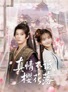 短剧《真情不诋樱花落》58集短剧在线解锁全集畅快追