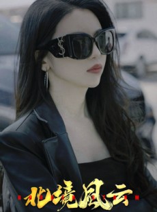 短剧《北境风云》86集短剧高清全集手机在线观看