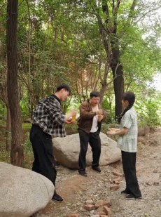 短剧《重生七零，拒当后娘拐个知青回家》80集短剧1080P在线免费看全集
