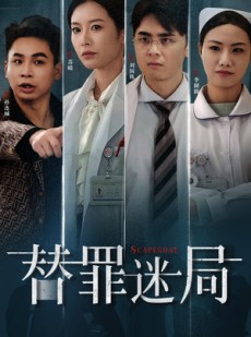 短剧《替罪迷局》42集短剧高清流畅在线免费看