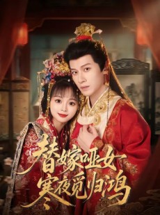 短剧《替嫁哑女寒夜觅归鸿》65集短剧完整版免费在线观看