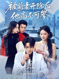 短剧《被前妻开除后，他高不可攀》40集短剧1080P免费看全集