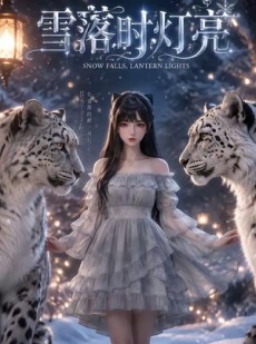 短剧《雪落时灯亮》20集短剧超清画质在线追