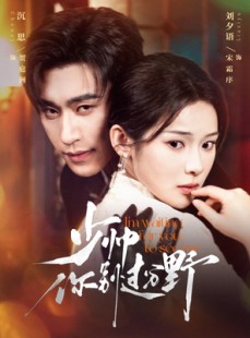 短剧《少帅你别过分野》70集短剧蓝光画质无广告观看