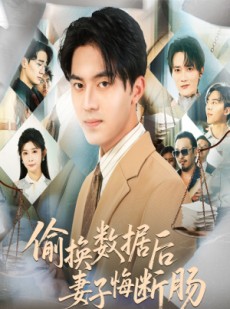短剧《偷换数据后妻子悔断肠》63集短剧1080P高清在线观看