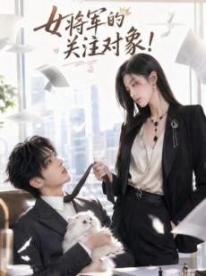 短剧《女将军的关注对象》61集短剧在线解锁全集观看